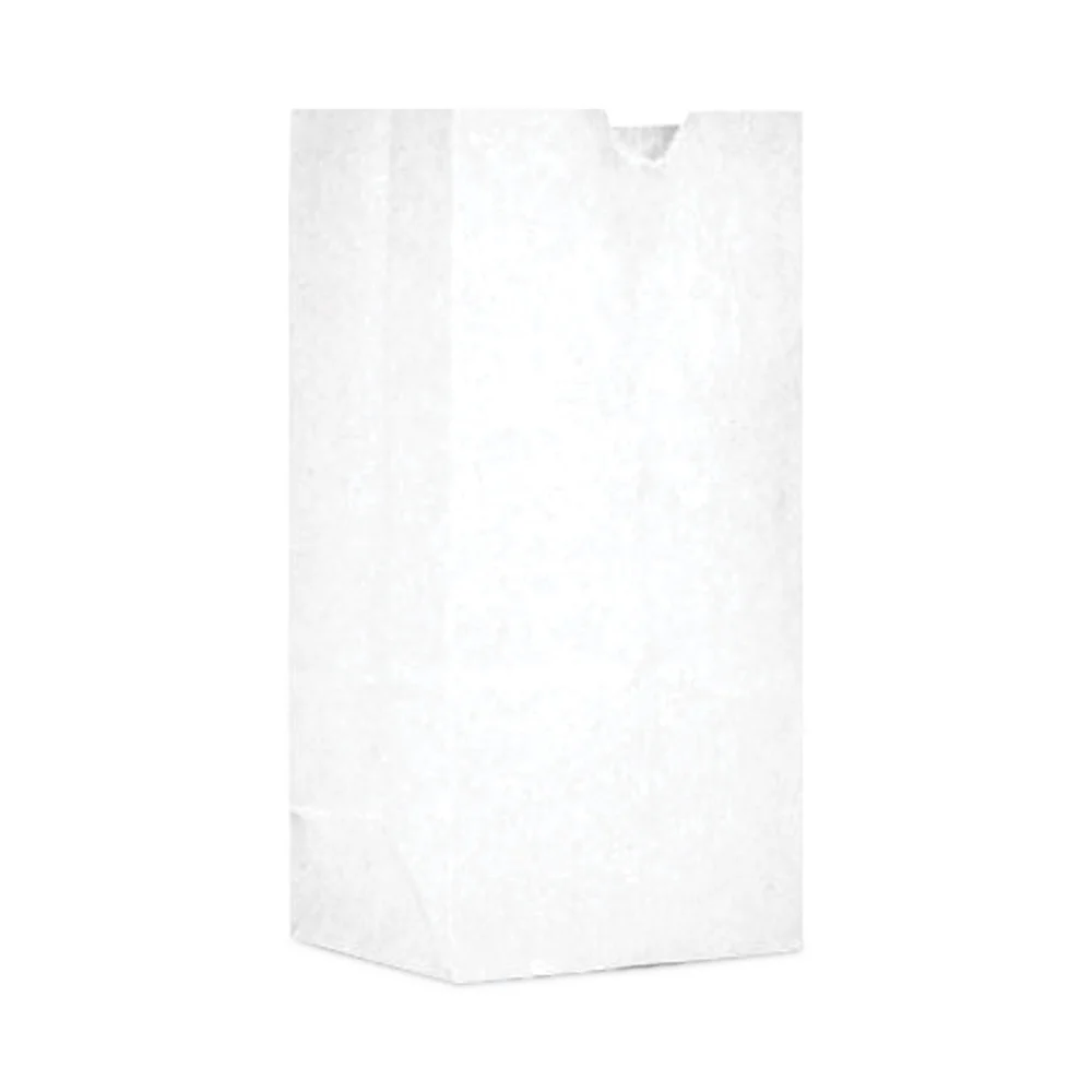 Ross & Wallace Paper Products 7.5 in. x 10.5 in. #30 Size Grocery Paper Bags - White (500/Carton)