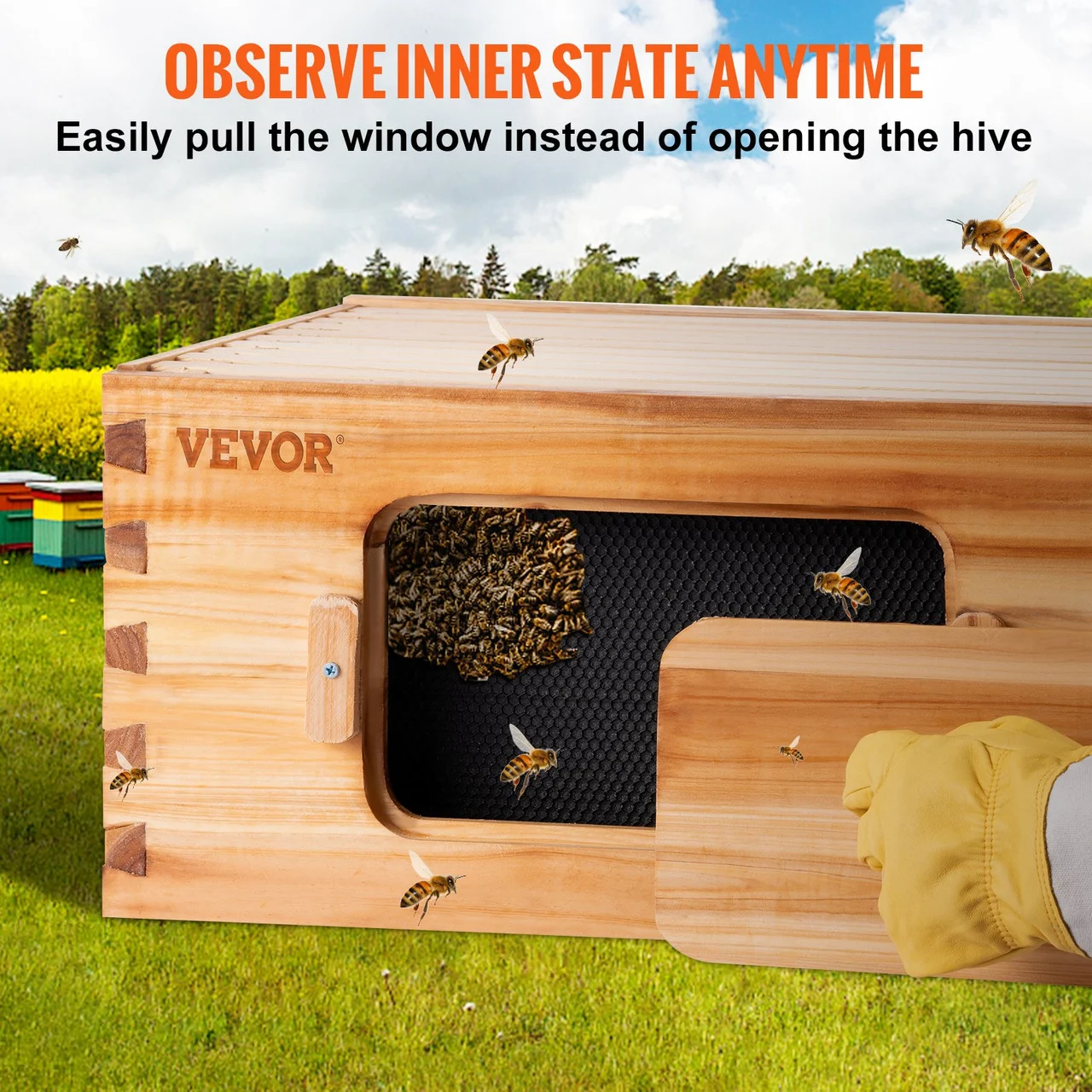 Beehive Box Kit Bee Honey Hive 20 Frames 1 Deep 1 Medium Natural Fir Wood